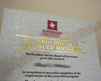 Fake Diploma International Custom Foil Header
